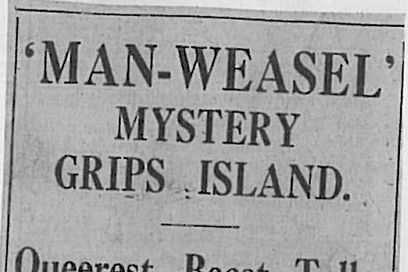 Newspaper headline reads "Man-weasel mystery grips island"